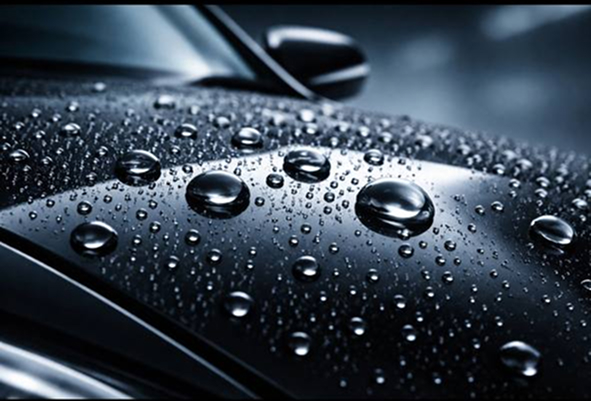 Ceramic Coating Program